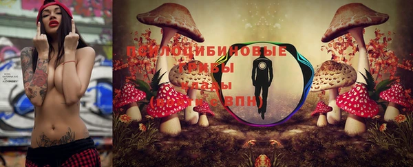 МДПВ Новокубанск